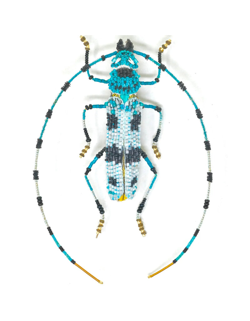 Trovelore ALPINE LONGHORN BEETLE BR