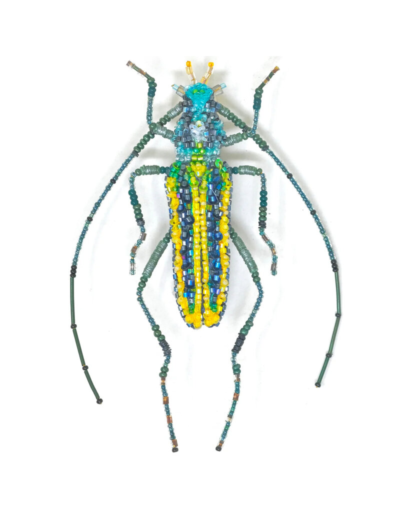 Trovelore GOUNELLEI BEETLE BR