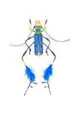 Trovelore MARTINI BEETLE BR