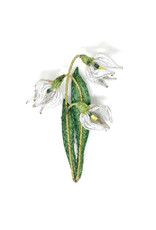 Trovelore SNOWDROP FLOWER BR