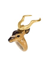 Nach Kudu bull R