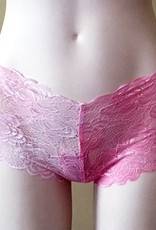 Underwear Bottoms French Cut Lace Undies