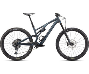 Stumpjumper Evo Expert - Cast 