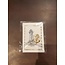 Starfish Inspirations Greeting Cards