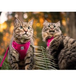 RC Pet RC Pet Adventure Kitty Harness