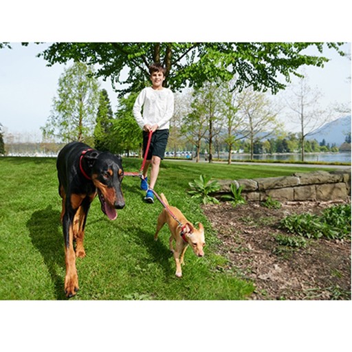 RC Pet Canine Equipment Bungee Coupler Grey/Black