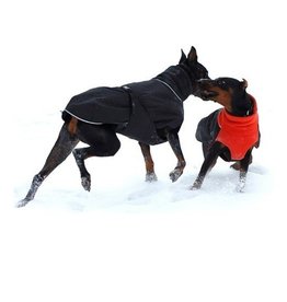 Chilly Dogs Chilly Dogs GWN Winter Coat