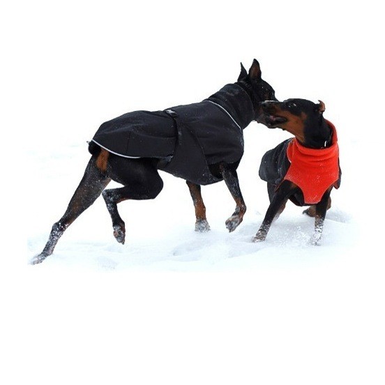 Chilly Dogs Chilly Dogs GWN Winter Coat