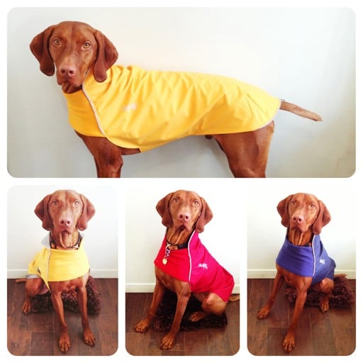 Chilly Dogs Chilly Dogs Rain Slicker