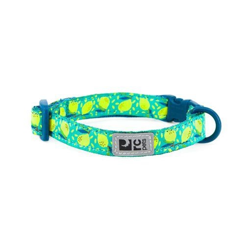 RC Pet RC Pet Kitty Breakaway Collar Lemonade