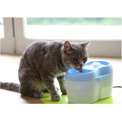 Cat H20 Cat H20 Fountain 2L White