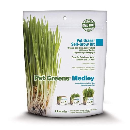 Pet Greens Garden Medley Self Grow Kit 113g