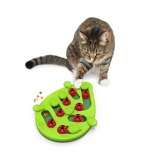 Outward Hound Nina Ottosson Puzzle and Play Buggin Out Cat Puzzle