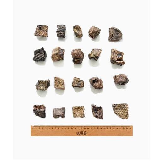 Wag Wag Kangaroo Cubes 200g