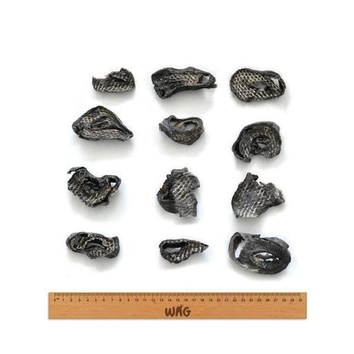 Wag Wag Kangaroo Filets 200g