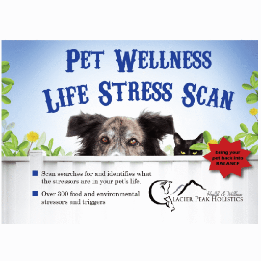 Glacier Peak Holistics Pet Wellness Life Stress Scan