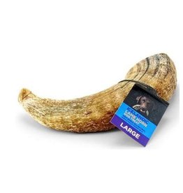 Icelandic+ Icelandic+ Lamb Horn with Marrow Large 6.5-7.3” (per piece)