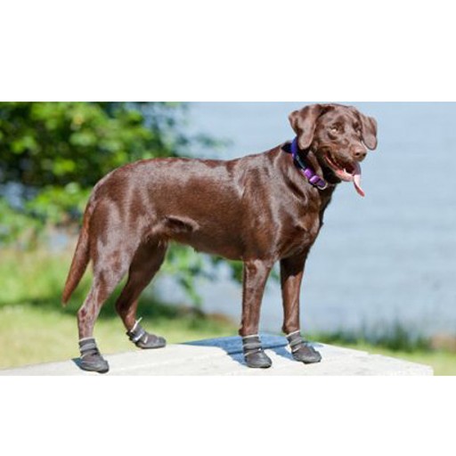 RC Pet Canine Equipment Ultimate Trail Boots