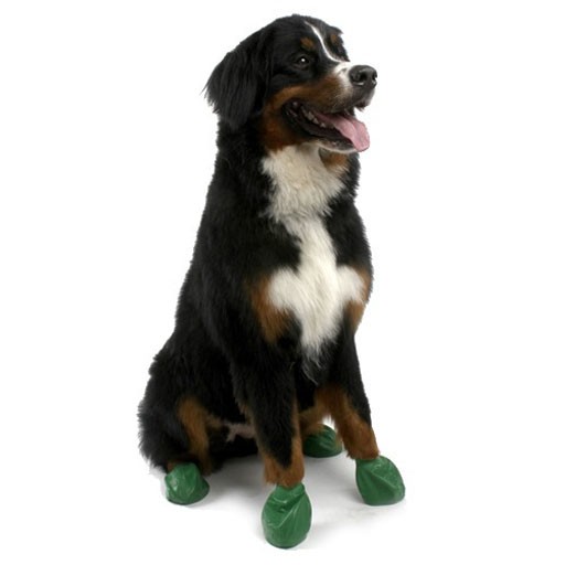 Pawz Dog Boots, Green, XL