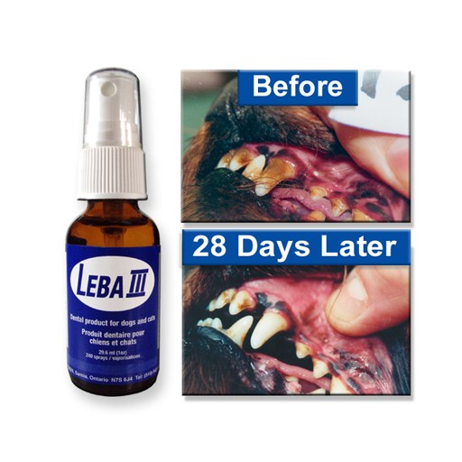 Leba III Dental Spray 1oz