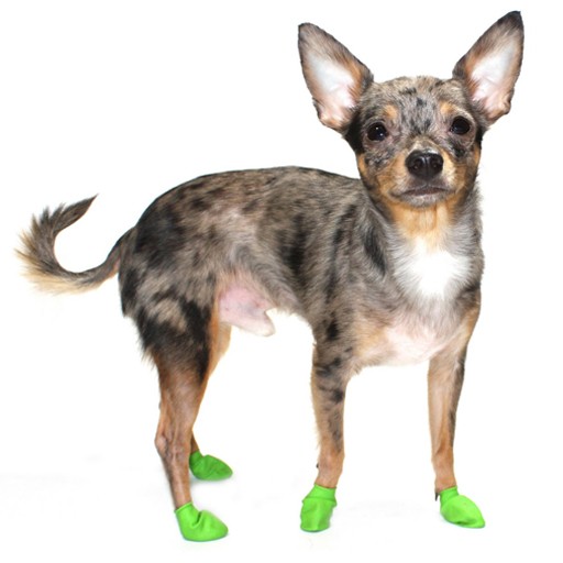 Pawz Dog Boots, Lime Green, Tiny