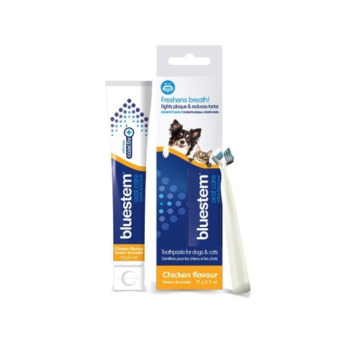 Bluestem Oral Care Toothpaste and Toothbrush Chicken 70g