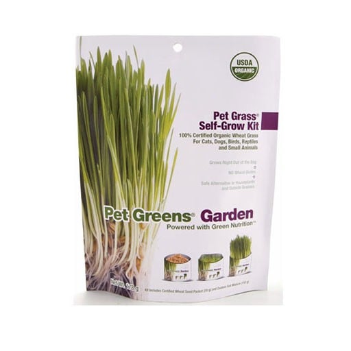 Pet Greens Garden Self Grow Kit 113g