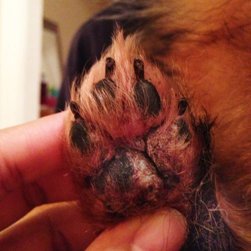 FROM THE ARCHIVES: MIA & THE HEALING POWER OF THE FOOT SOAK