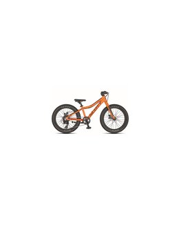 scott roxter 20