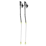 Head World Cup SG Ski Pole