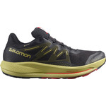 Salomon Pulsar Trail GTX Men's