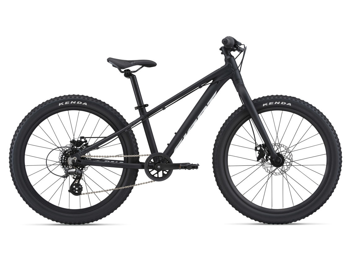 Giant mtb 24 hotsell
