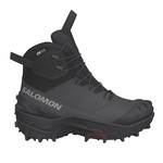 Salomon Men's Crosstrak Powder Waterproof Winter Hiking Boot