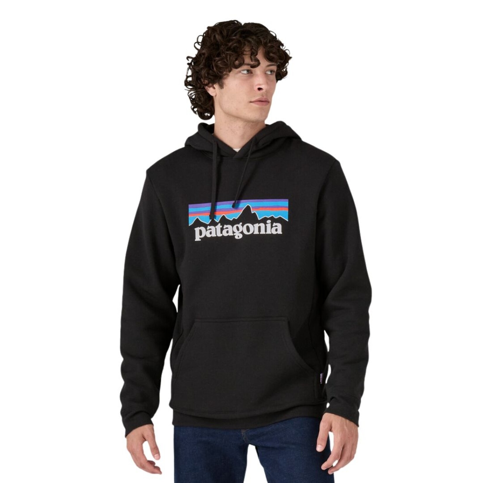 Patagonia P-6 Logo Uprisal Hoody