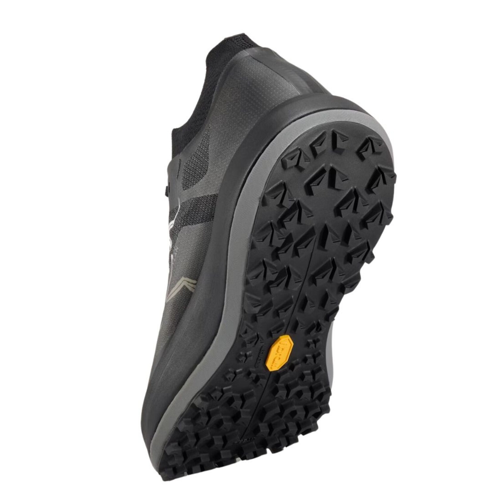 Arc'Teryx Sylan Pro Shoe Men's