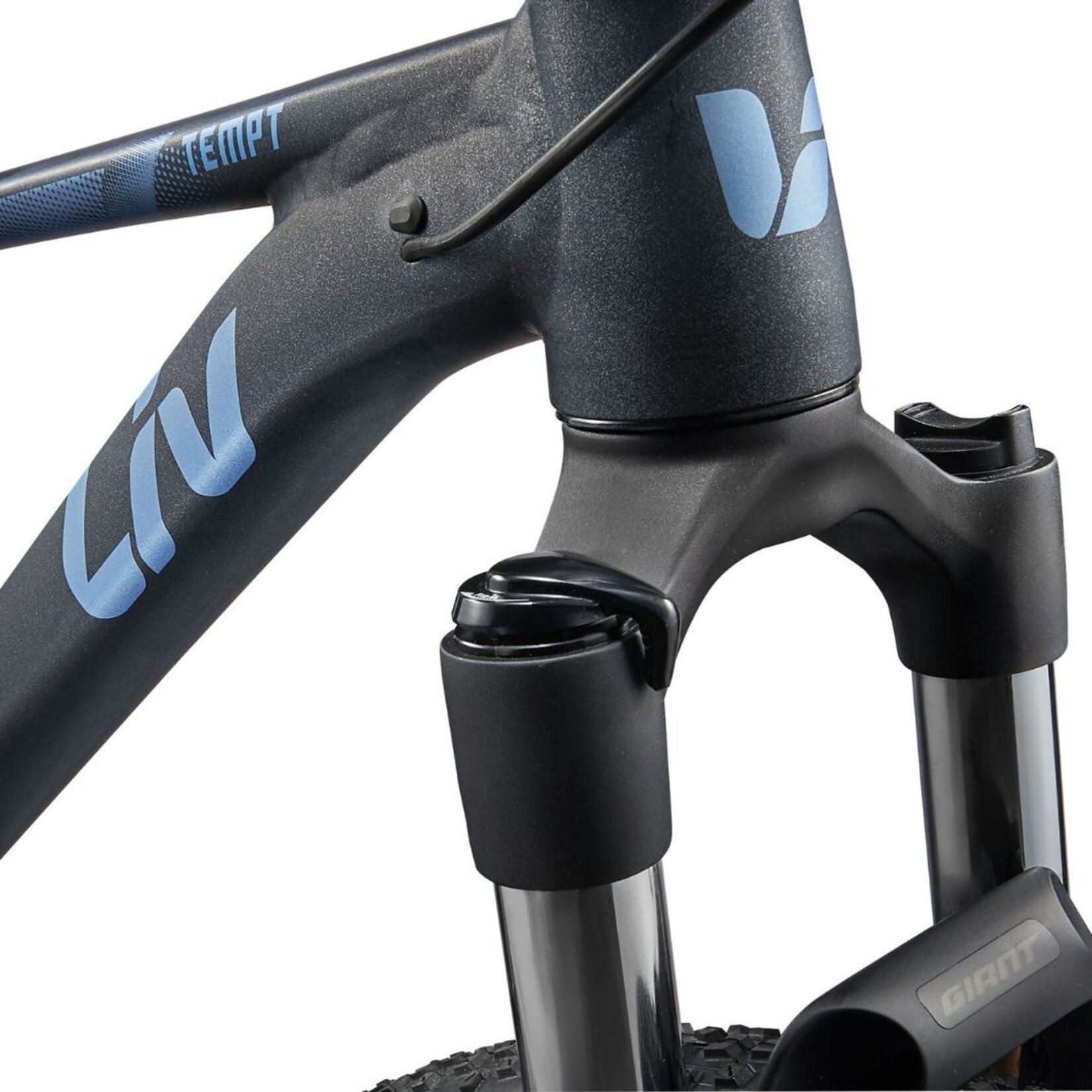 Liv Tempt 1 - Medium (29")