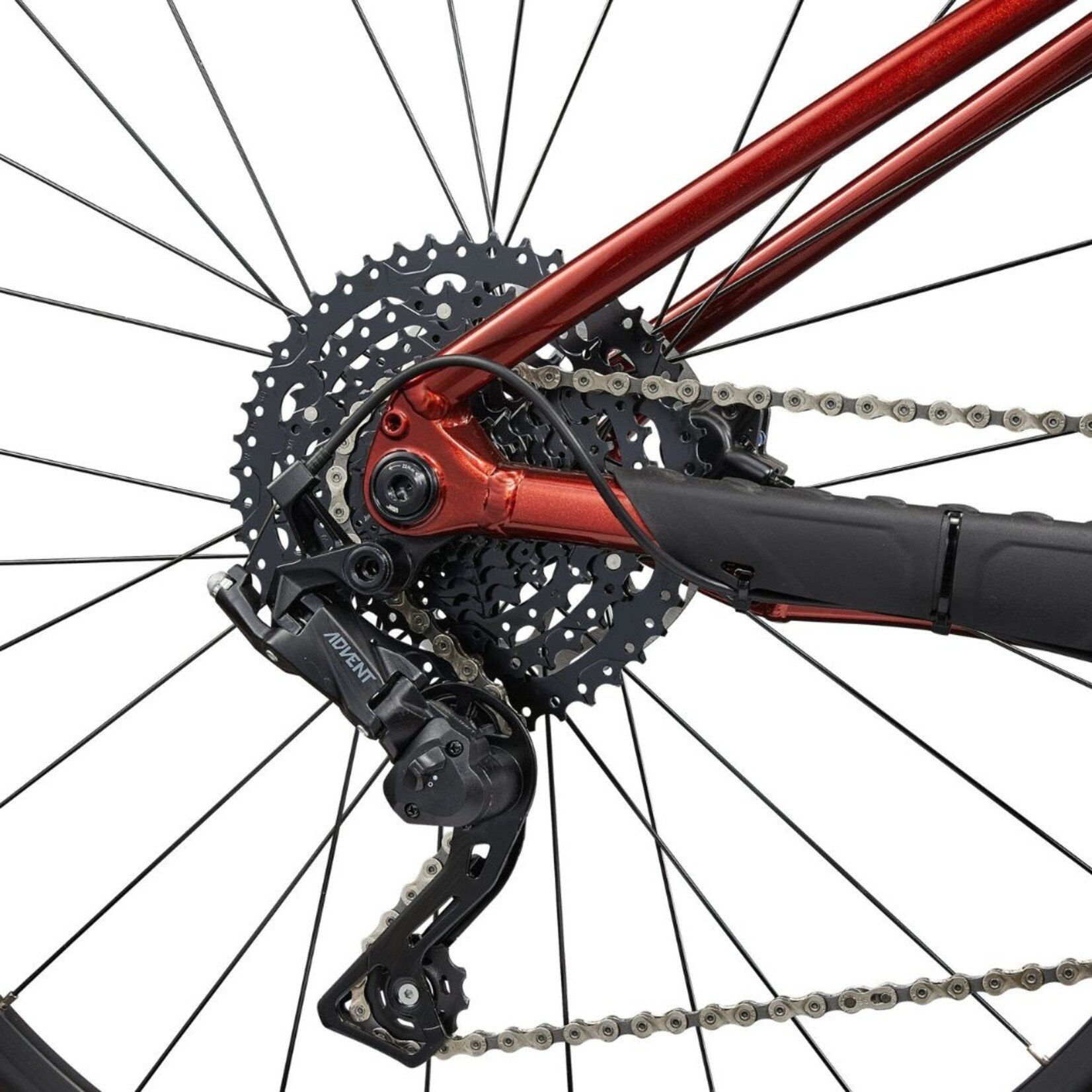 Liv Tempt 2 - Large (29")