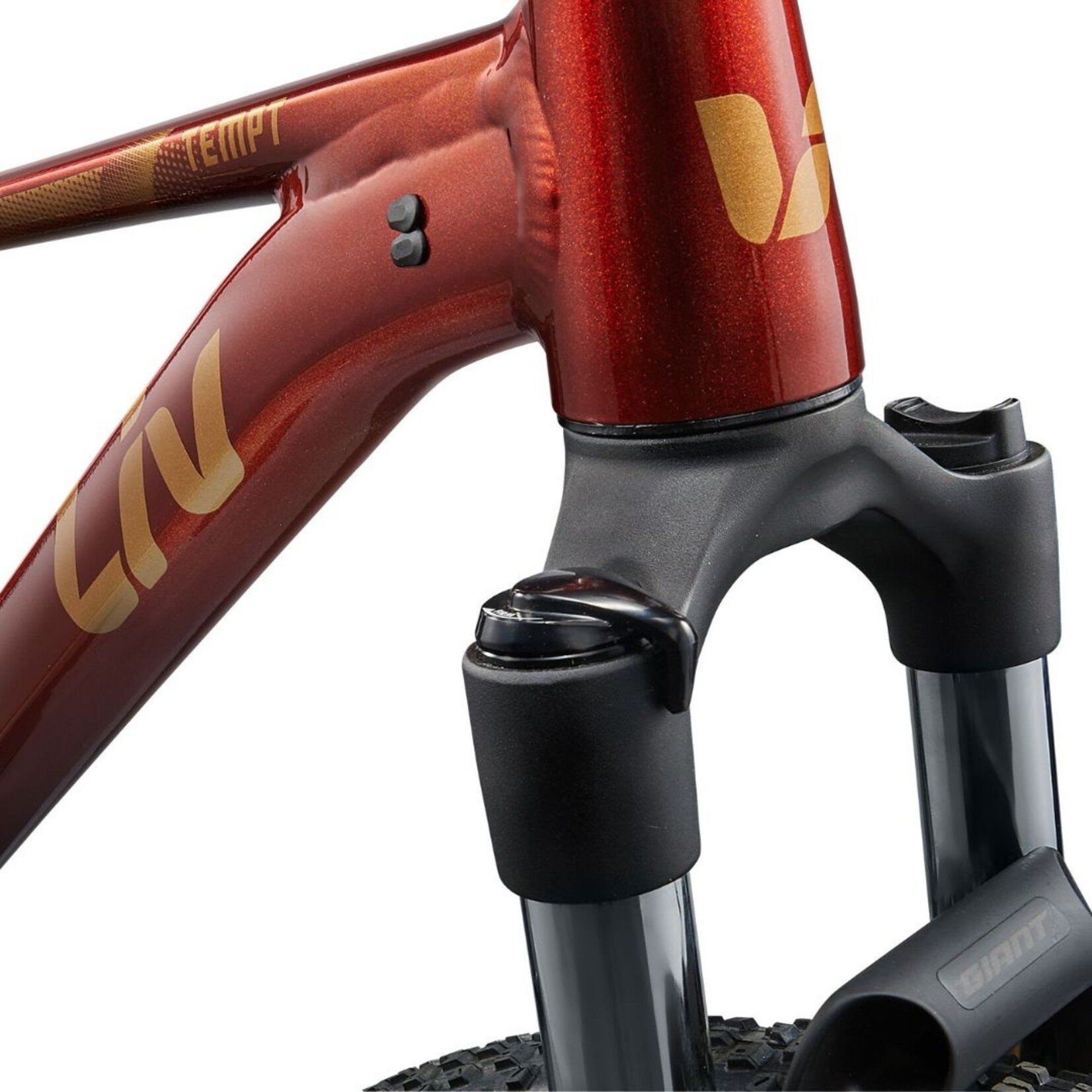 Liv Tempt 2 - Large (29")