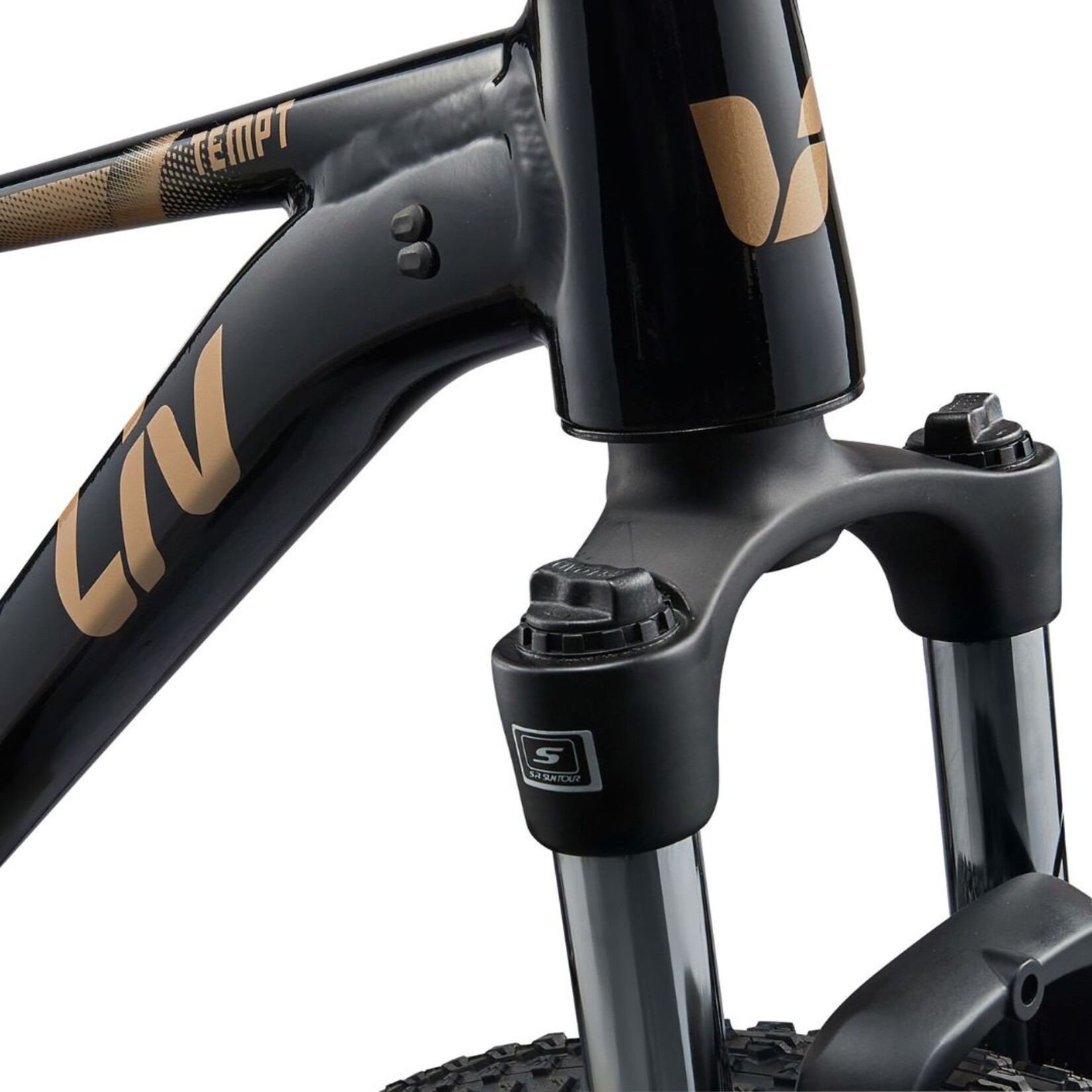 Liv Tempt 4 - Large (29")