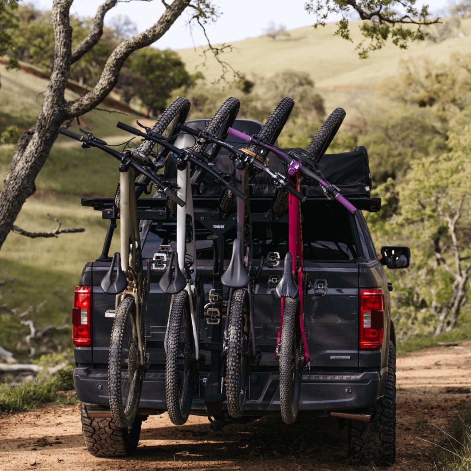 Thule ReVert 4-Bike