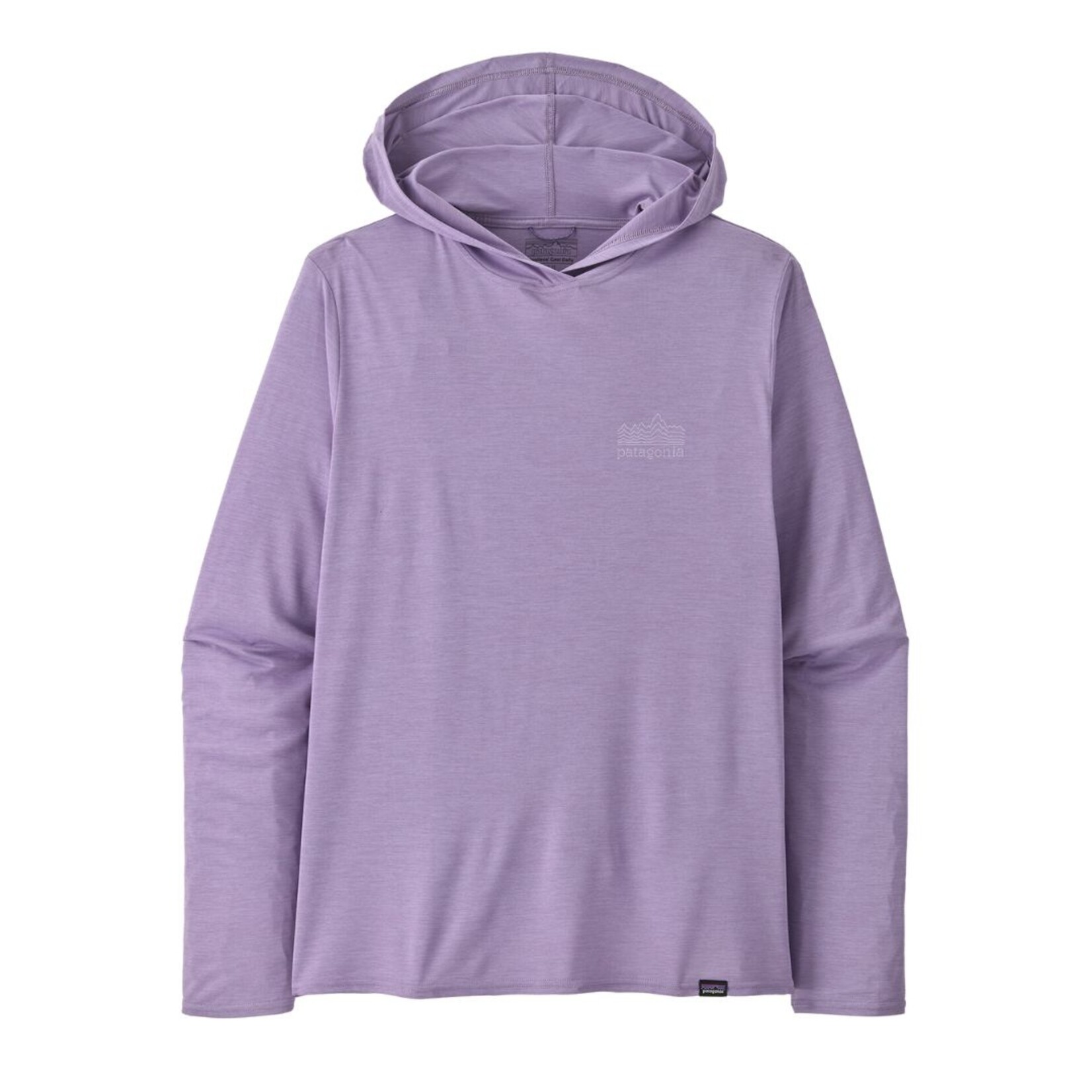Patagonia Men's Capilene® Cool Daily Graphic Hoody