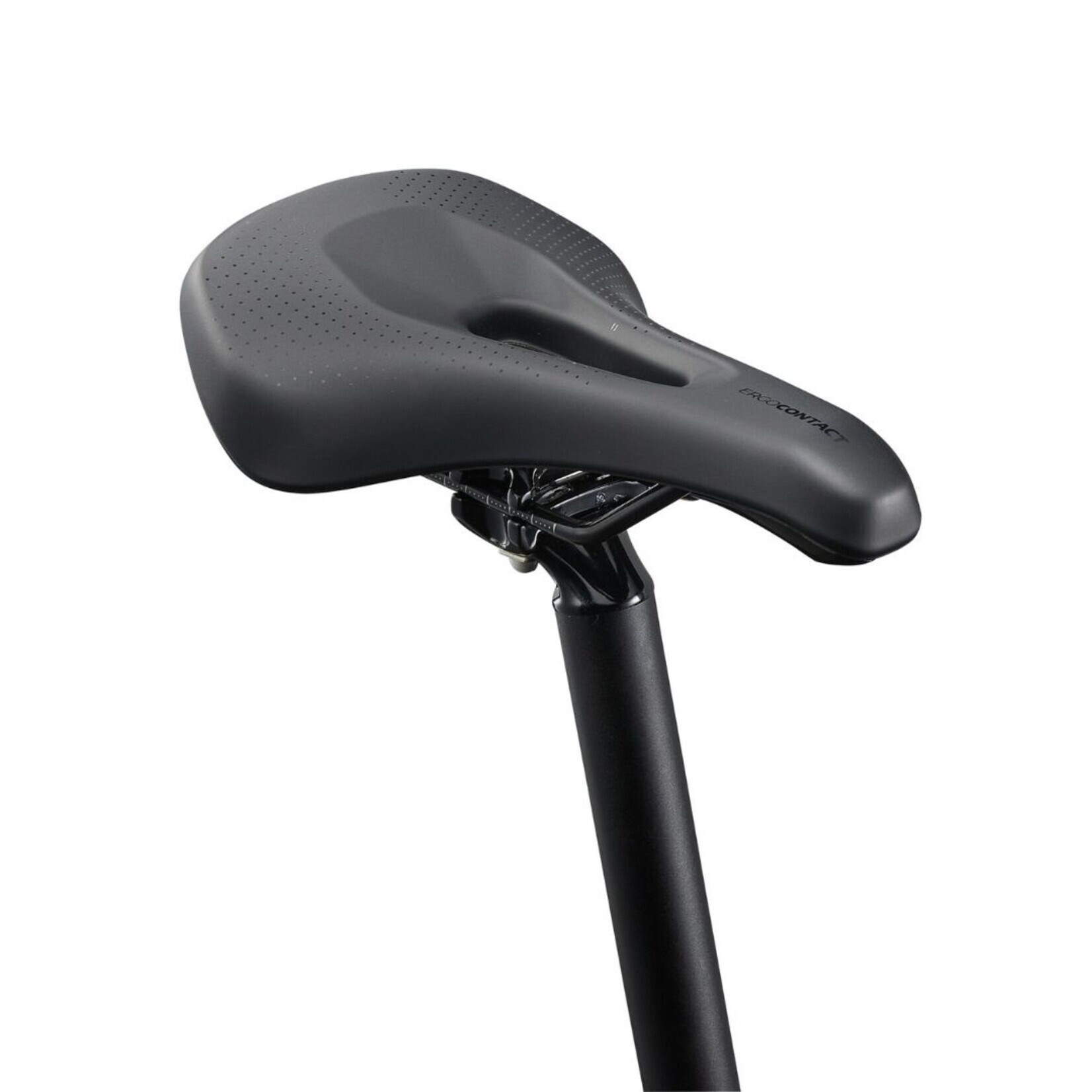 Liv Tempt 4 - Medium (29")