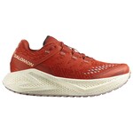 Salomon Aero Glide 3 GRVL Women's Running Shoe