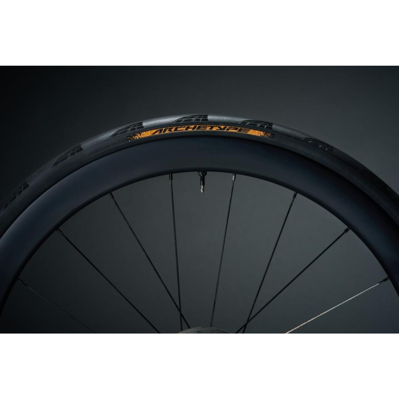 Continental Archetype Tour de France Limited Edition Tire