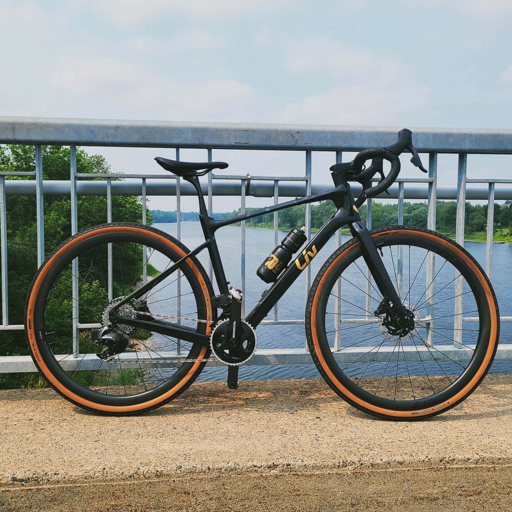 Liv Devote Advanced Pro DEMO - Medium
