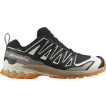 Salomon XA Pro 3D V9 Gore-Tex Men's Trail Running Shoe