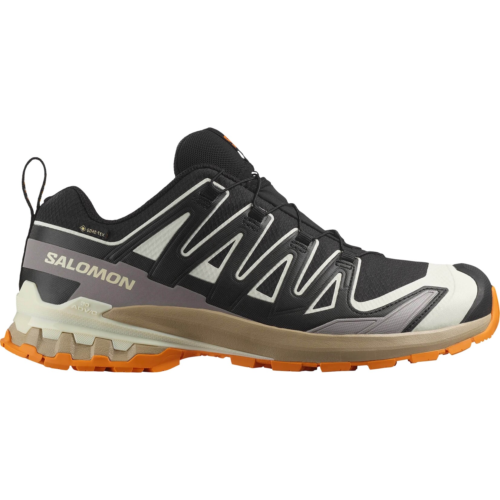 Salomon XA Pro 3D V9 Gore-Tex Men's Trail Running Shoe