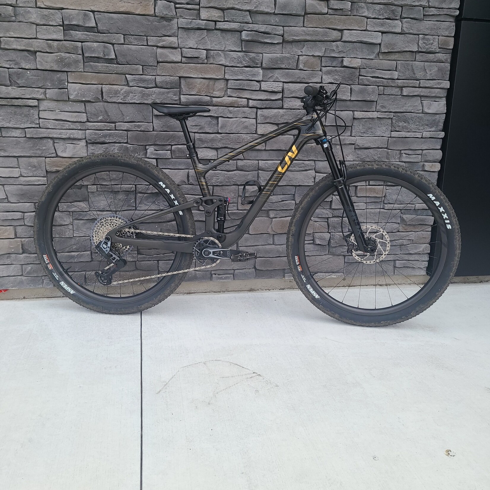 Liv Pique Advanced 29 1 DEMO - Medium