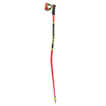 Leki WCR GS 3D Poles