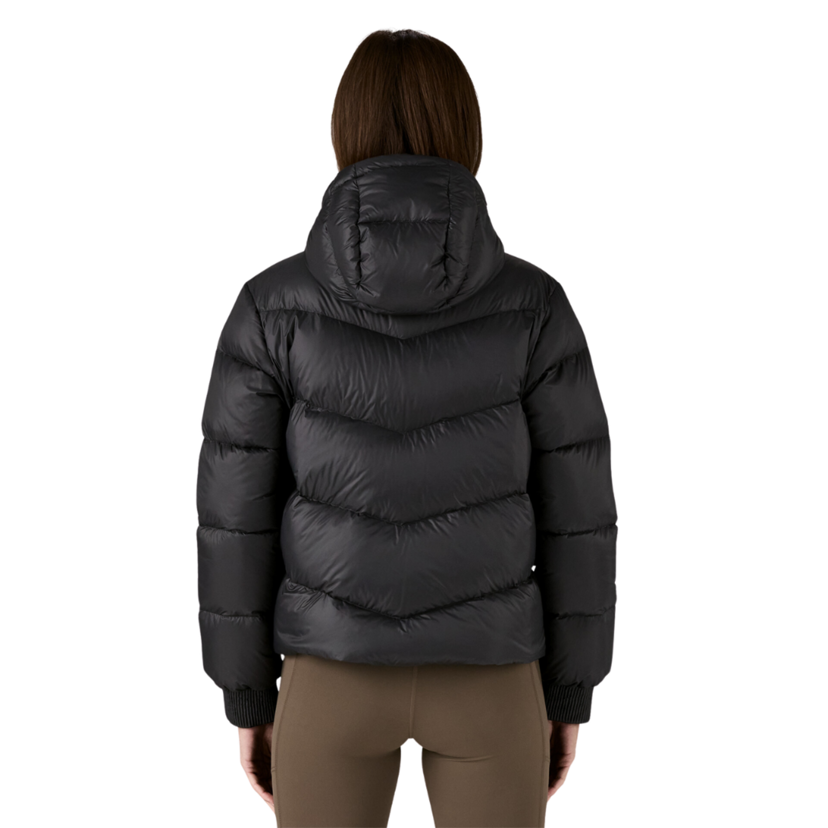 Patagonia Women's Sindit Hoody Jacket